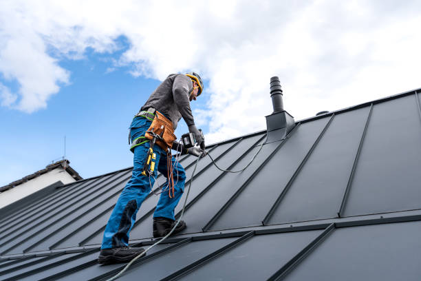 Best Cold Roofs  in Oakton, VA